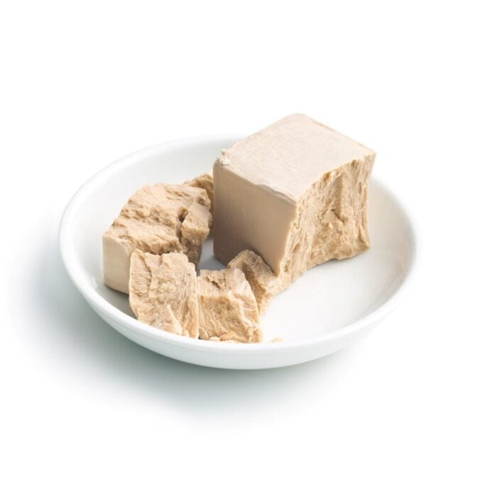 1kg block of fresh yeast