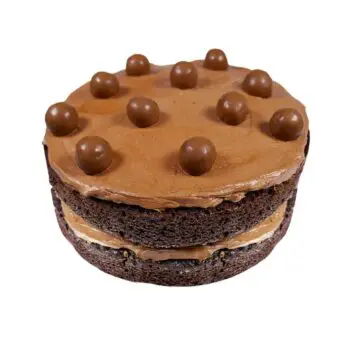 Greenhalgh's Craft Bakery 6 inch chocolate teaser cake