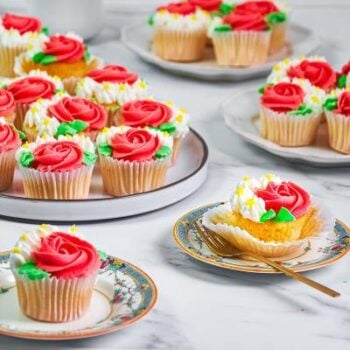 GreenHalgh's Seasonal Products
